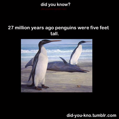  Did you know?