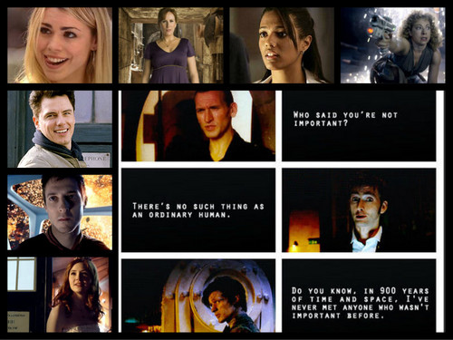 Doctor Who Companions: Everyone's Important