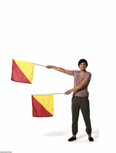  Flags GIF