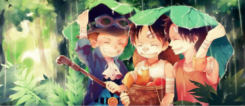  Rawak pictures of Onepiece