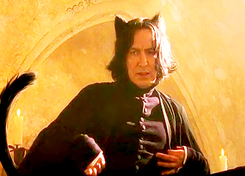 Severus Kitty