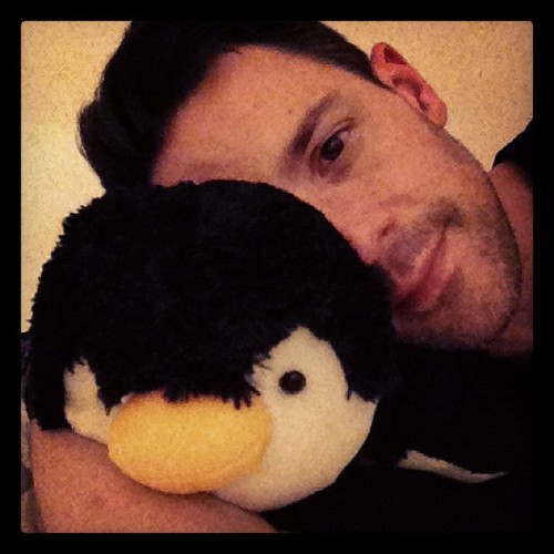  Steve with the pinguïn hoofdkussen, kussen