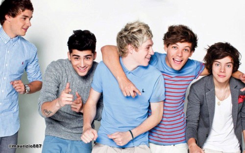  one direction, the official annual - 2012