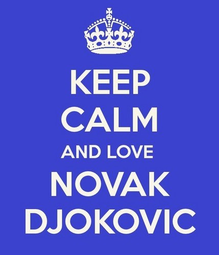  ~Novak~