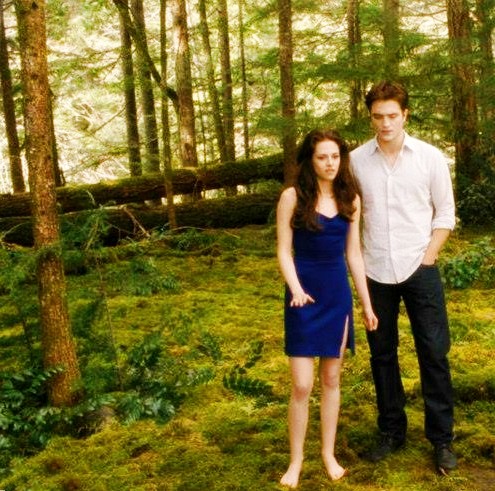  Bella and Edward Cullen