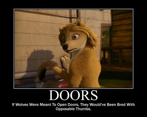  Doors!!!!
