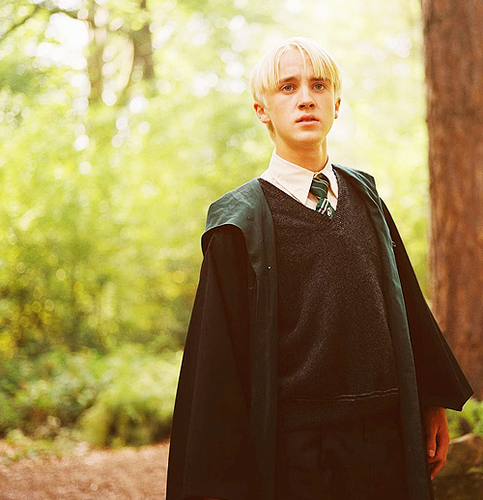  Draco♥