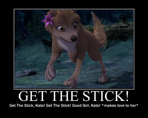  Get the stick!!!