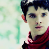  Merlin Is Adorable.
