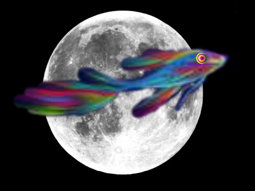  इंद्रधनुष मछली on the moon <3