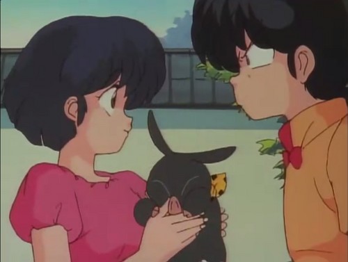  Ranma's jealous of Akane's "little p-chan"