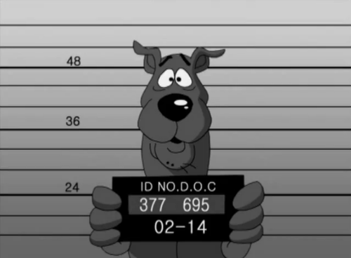 Scooby's Mugshot