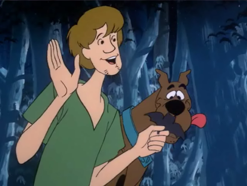 Shaggy with Bat-Cookie