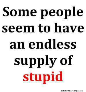  Stupidity