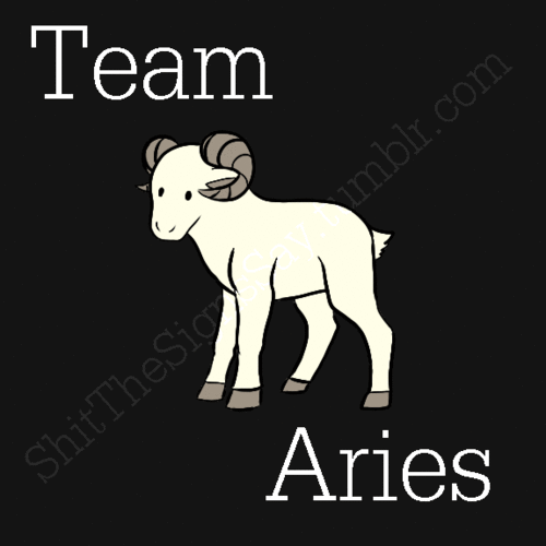  Team Aries!!!!!