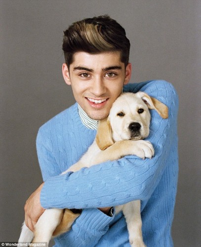  Zayn Malik with a pup