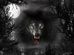  black wolf