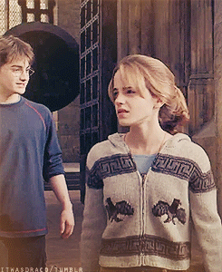  harry and hermione