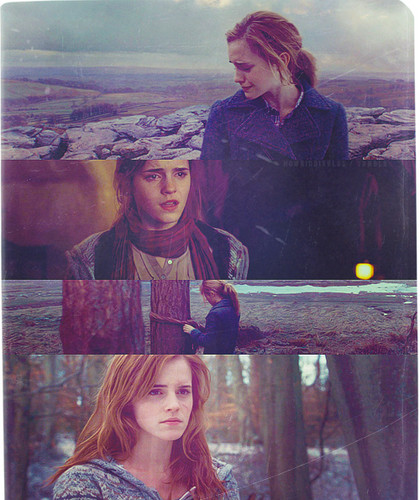  hermione