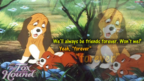  we'll always be फ्रेंड्स forever Tod and Copper