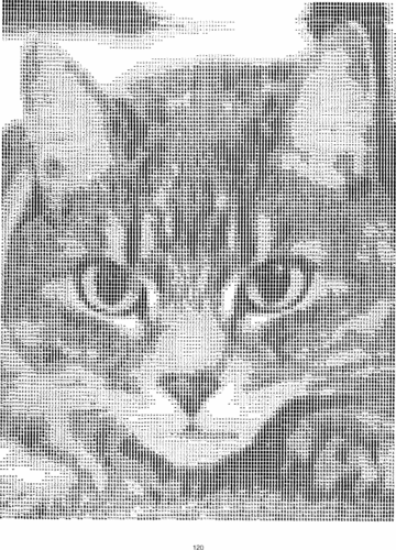  ASCII Kitty from http://www.atariarchives.org