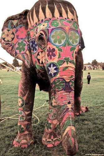  Art on elefante