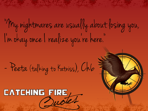 Catching Fire quotes 1-20