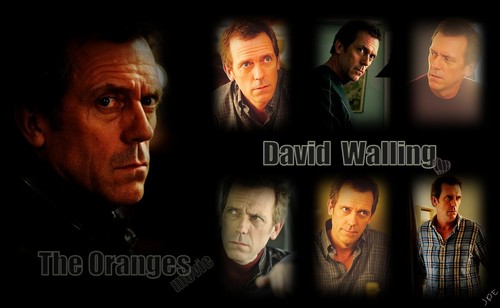  David Walling, The Oranges