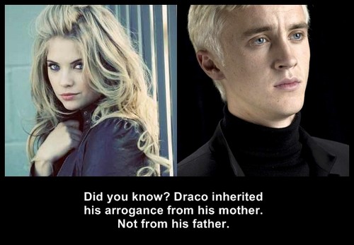 Draco and Young Narcissa