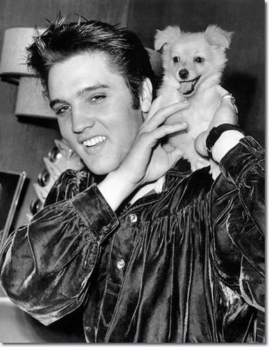 Elvis Presley and ‘Sweet Pea’ the dog, October 18, 1956.