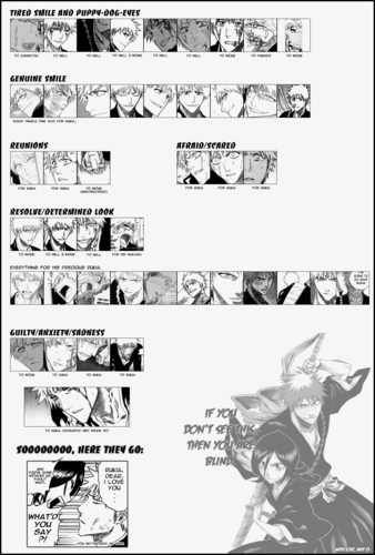  Ichigo's facial expressions