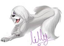  Lilly