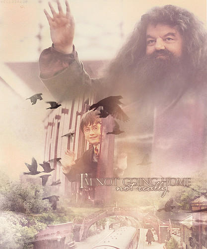 Harry & Hagrid