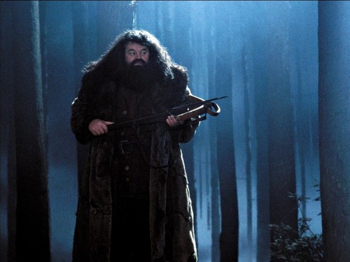  Rubeus Hagrid kertas dinding