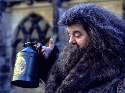  Rubeus Hagrid fond d’écran