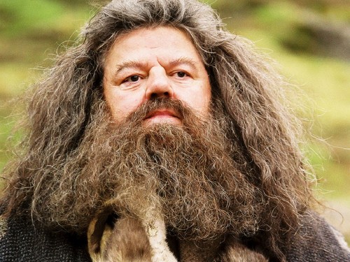  Rubeus Hagrid वॉलपेपर