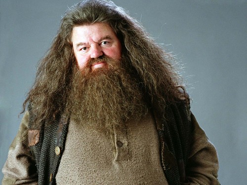  Rubeus Hagrid پیپر وال