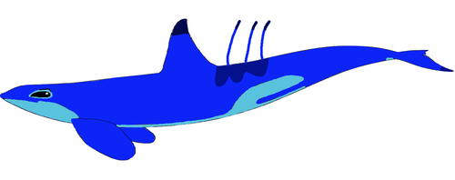  Stitch (Killer Whale)
