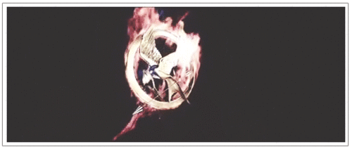  The Hunger Games Catching fuoco Logo Reveal