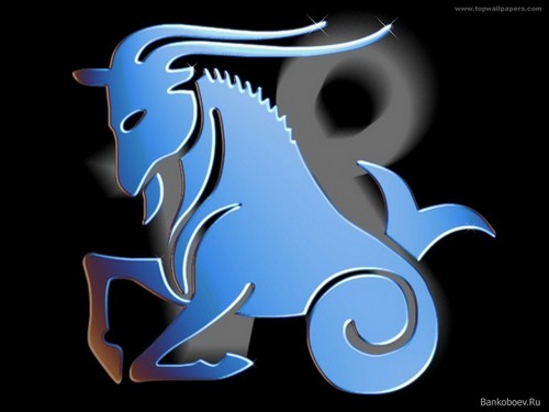 Zodiac sign - Capricorn