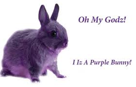  purple bunnie