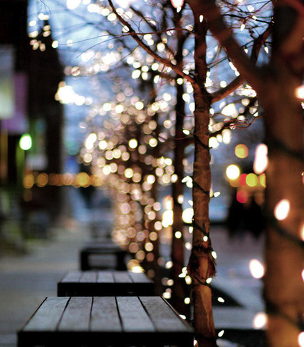  ★ Weihnachten lights and decorations ☆