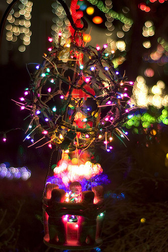  ★ クリスマス lights and decorations ☆