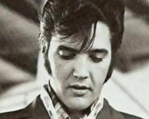  ★ Elvis ☆