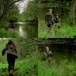  'Wolfblood'
