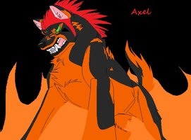  Axel loup