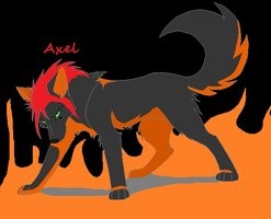 Axel serigala, wolf