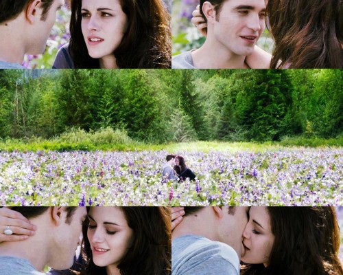  BD 2 Edward and Bella fond d’écran