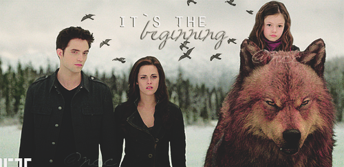  Bella, Edward,Nessie and Jake in волк form