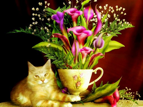  Cat for Lily پیپر وال